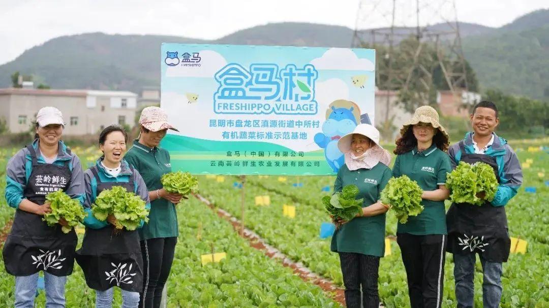 原爆点和幻痛什么关系_点佰趣点刷是一清机吗_有机农业的痛点