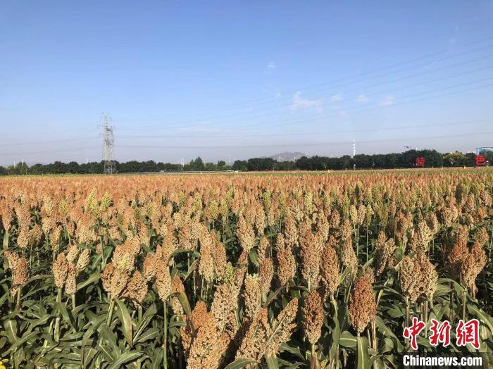 山西瞄准“特”“优”推进乡村振兴