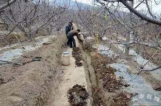 菜籽饼发酵后含什么肥_厨余发酵成液体肥_有机肥发酵技术