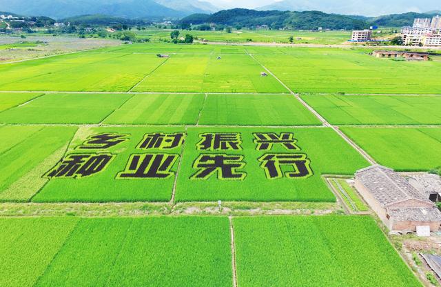 农业广告的现状_我国有机农业发展现状_国家烟草专卖局关于发展现代烟草农业的指导意见