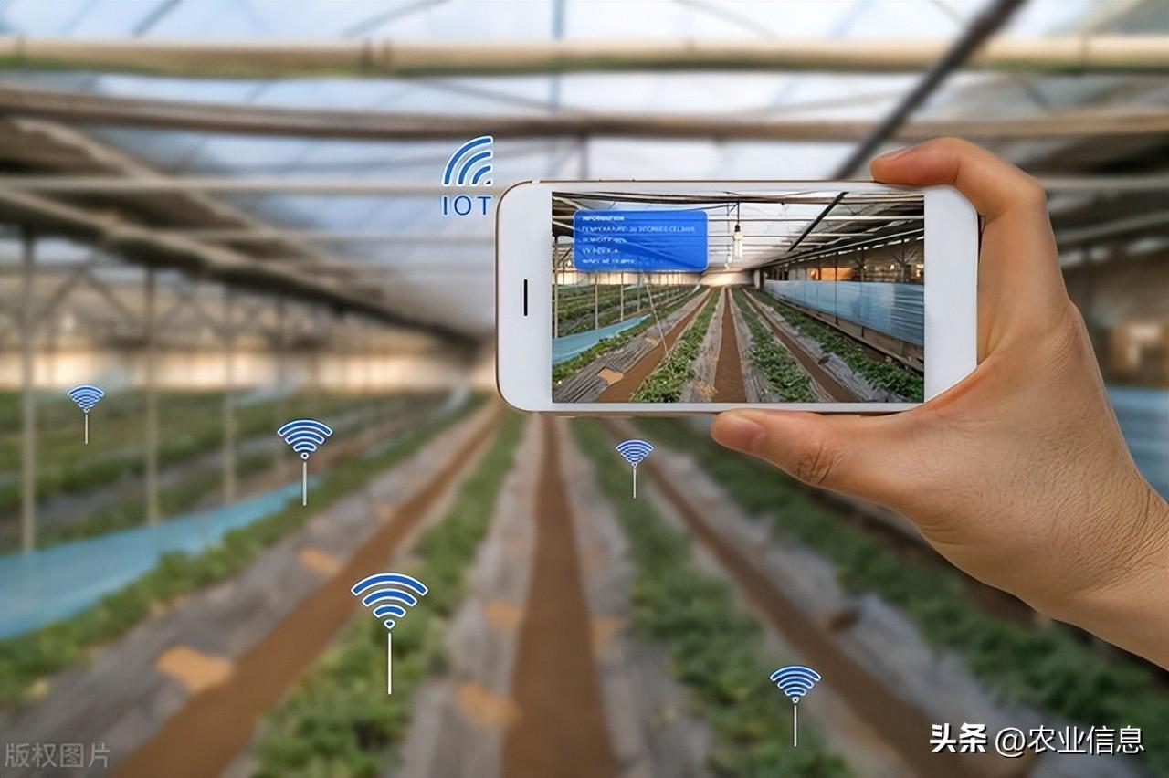 未来农业发展的趋势将包括数字化、农业科技和农业供应链管理