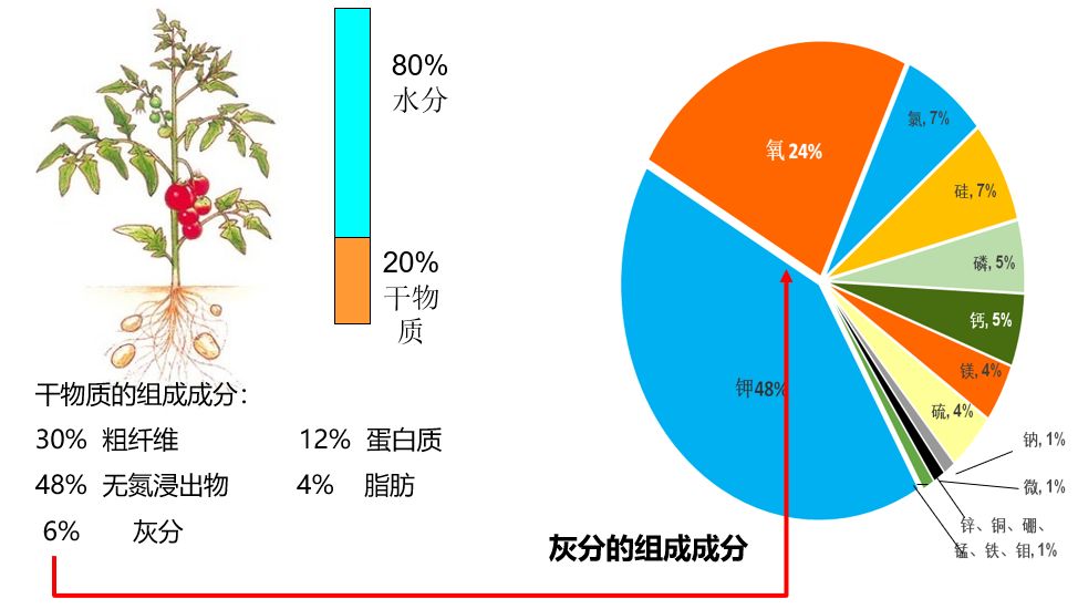 农业可持续发展概念_现代化农业概念_有机农业概念