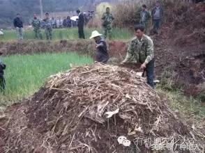 有机肥发酵技术_发酵粪肥是氨基酸肥吗_油枯发酵肥怎么用