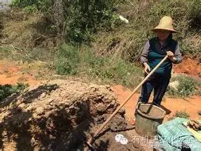 油枯发酵肥怎么用_发酵粪肥是氨基酸肥吗_有机肥发酵技术