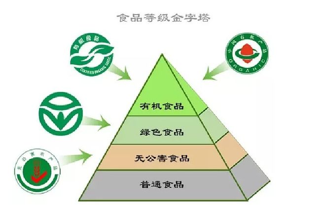 紋身機(jī)快頻機(jī)與慢頻機(jī)區(qū)別_有機(jī)食品和綠色食品的區(qū)別_食品流通許可證和食品經(jīng)營(yíng)許可證的區(qū)別