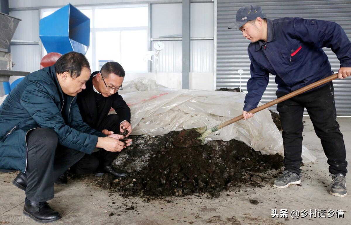 发酵鸡粪肥和蚯蚓肥哪个好_豆饼发酵几天能当肥_有机肥发酵技术