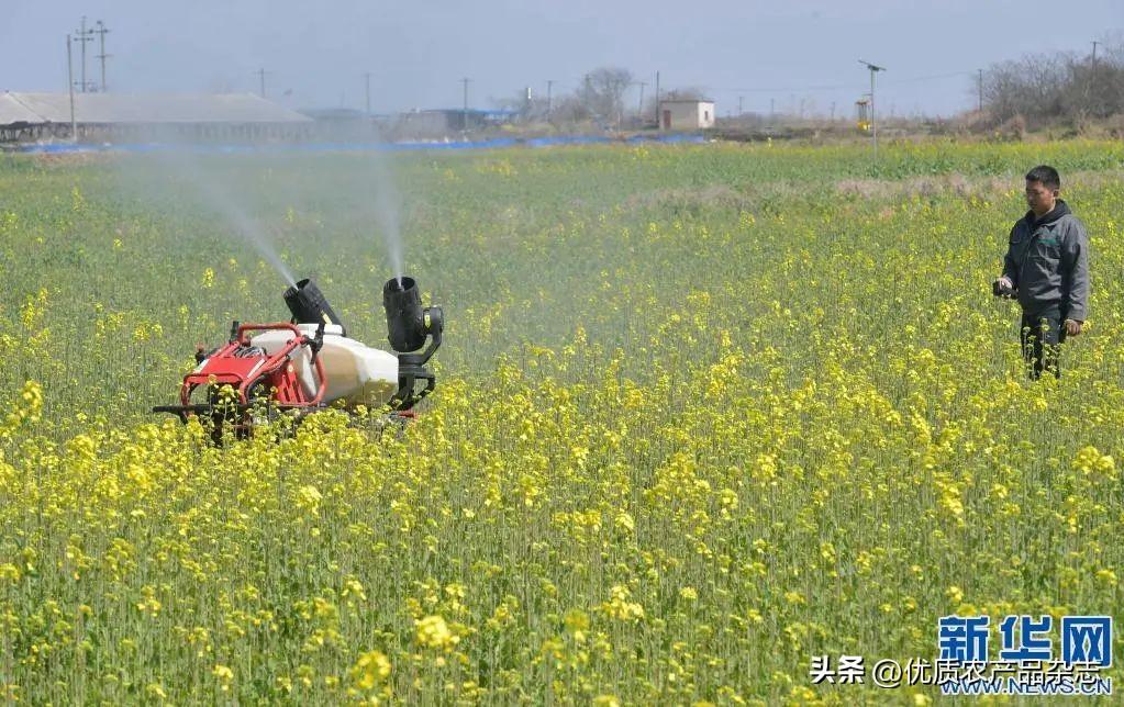 自然派公司有上市吗_北京农业商业银行何时上市_有机农业上市公司