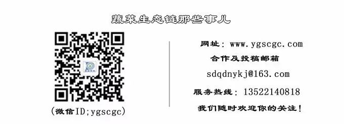 有機農業(yè)行業(yè)_農業(yè)行業(yè)網站模板_中國國際貿易促進委員會農業(yè)行業(yè)分會