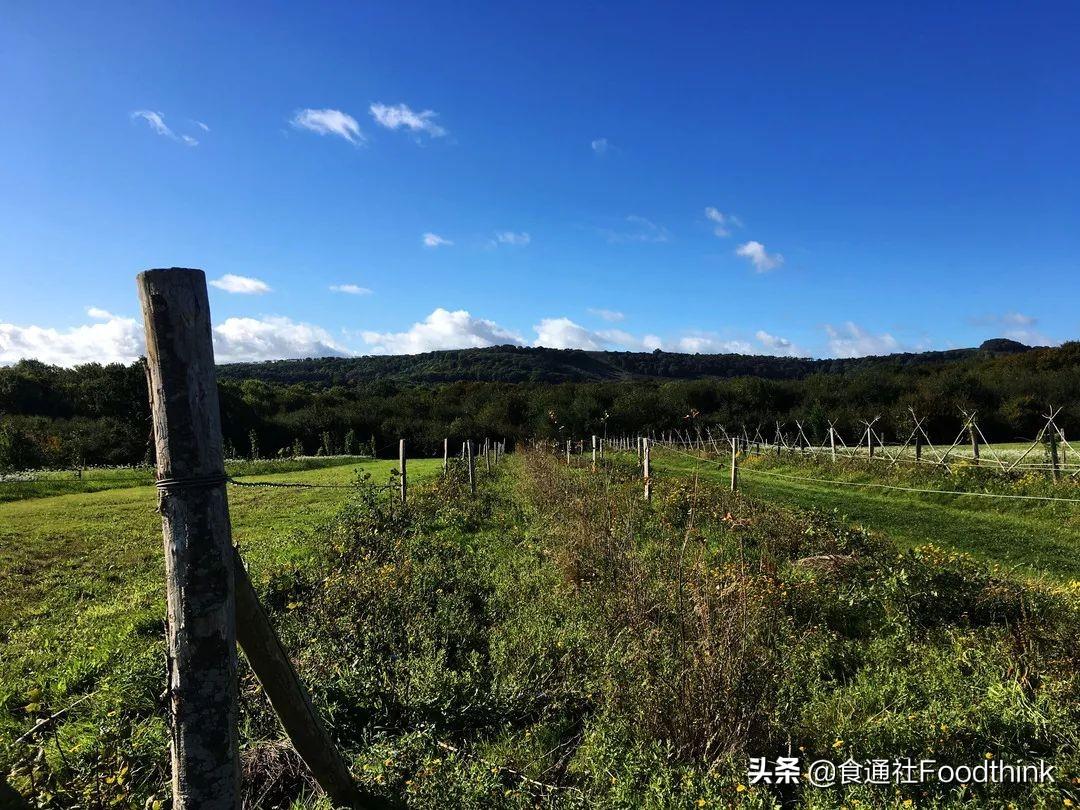 卡通农场 制帽机 材料_模拟农场17翻晒机_有机农场