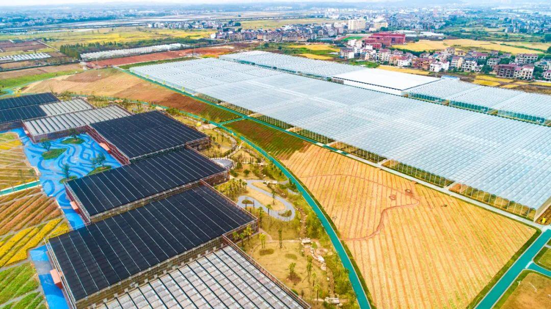 中国未来哪些行业有发展_吴晓静 农业节水灌溉现状及其发展趋势_有机农业的未来发展趋势
