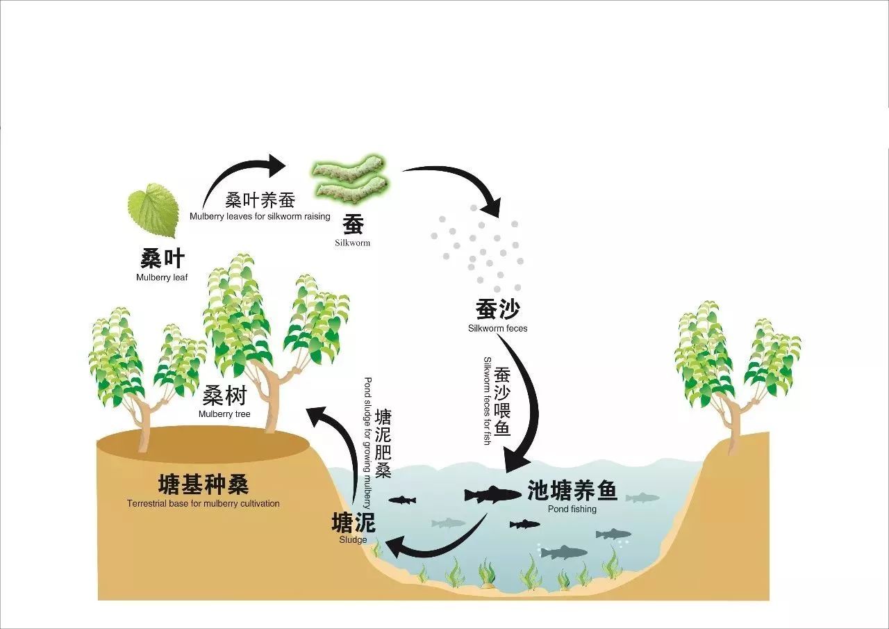 国机集团领导有政府官员吗_毛发种植有用吗是怎么种植的_我国有机种植的政策