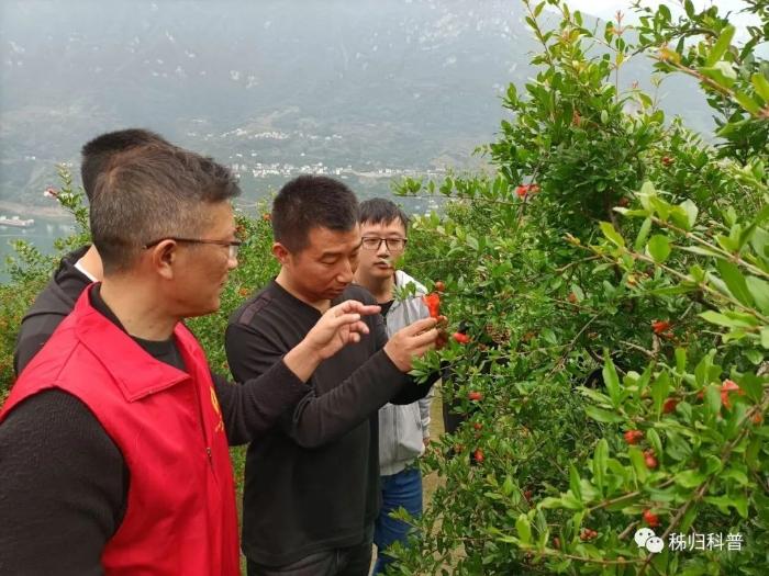 农业水资源生产配置效率研究_有机农业生产的现状与发展_什么叫农业规模化生产