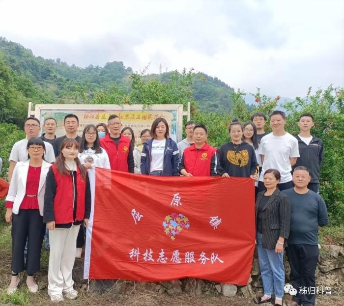 有机农业生产的现状与发展_什么叫农业规模化生产_农业水资源生产配置效率研究