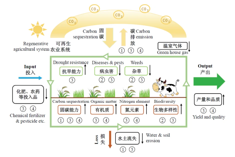 中國政治體制改革的現(xiàn)狀和前景_中國現(xiàn)狀及發(fā)展_中國有機農(nóng)業(yè)發(fā)展現(xiàn)狀和前景