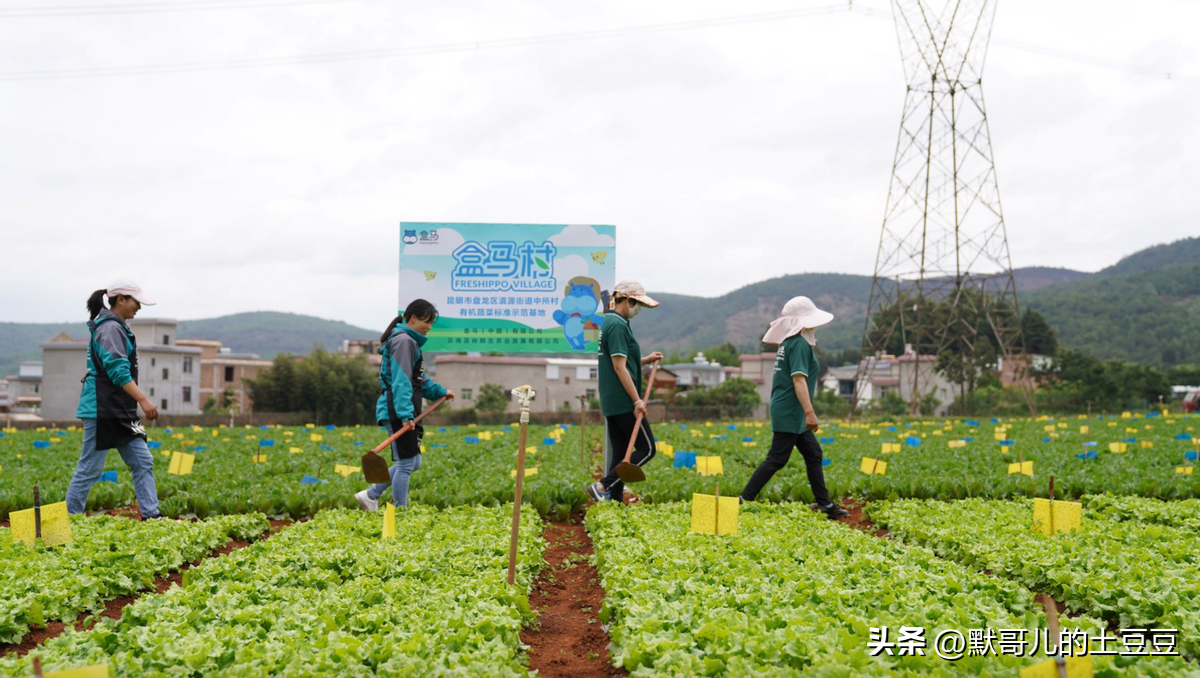 中国农业百科全书农业历史卷中传统农业的概念_有机农业概念_农业物联网概念