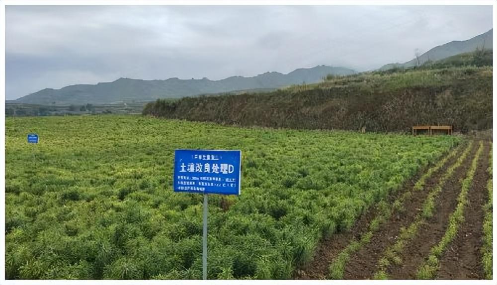 雙鷹維什綠色?？凳称酚邢薰綺有機(jī)食品和綠色食品的區(qū)別_食品流通許可證和食品經(jīng)營(yíng)許可證的區(qū)別