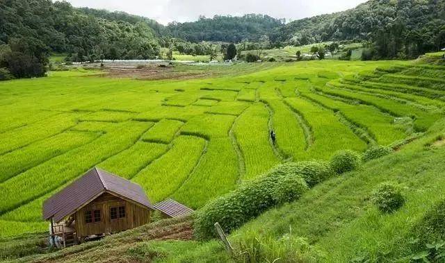 怎樣推進生態(tài)文明建設(shè)美麗中國_中國最大有機農(nóng)場_推進生態(tài)文明建設(shè)美麗中國夢