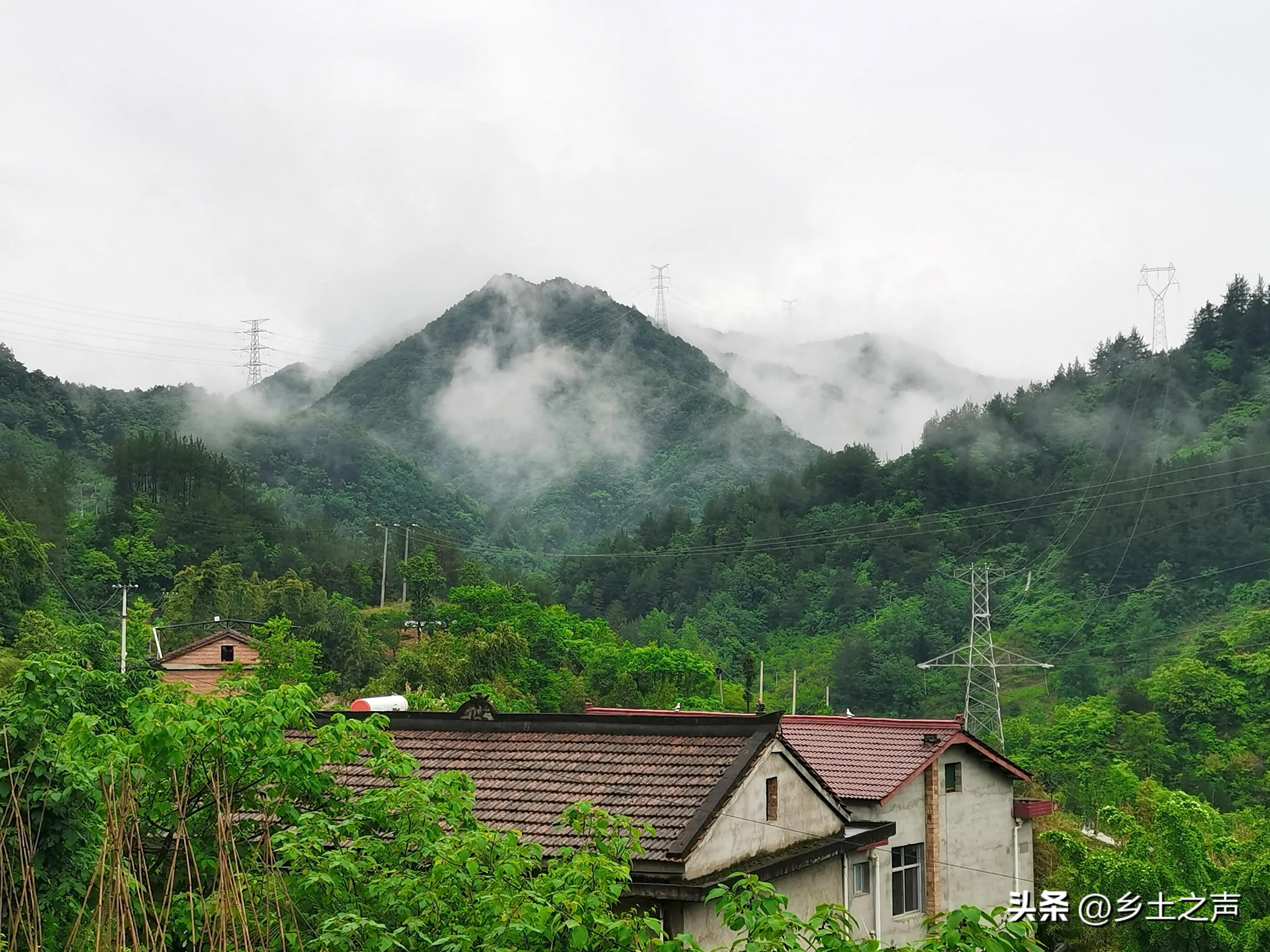 我国农机产业发展前景_前景现状农业机发展中国有哪些_中国有机农业发展现状和前景