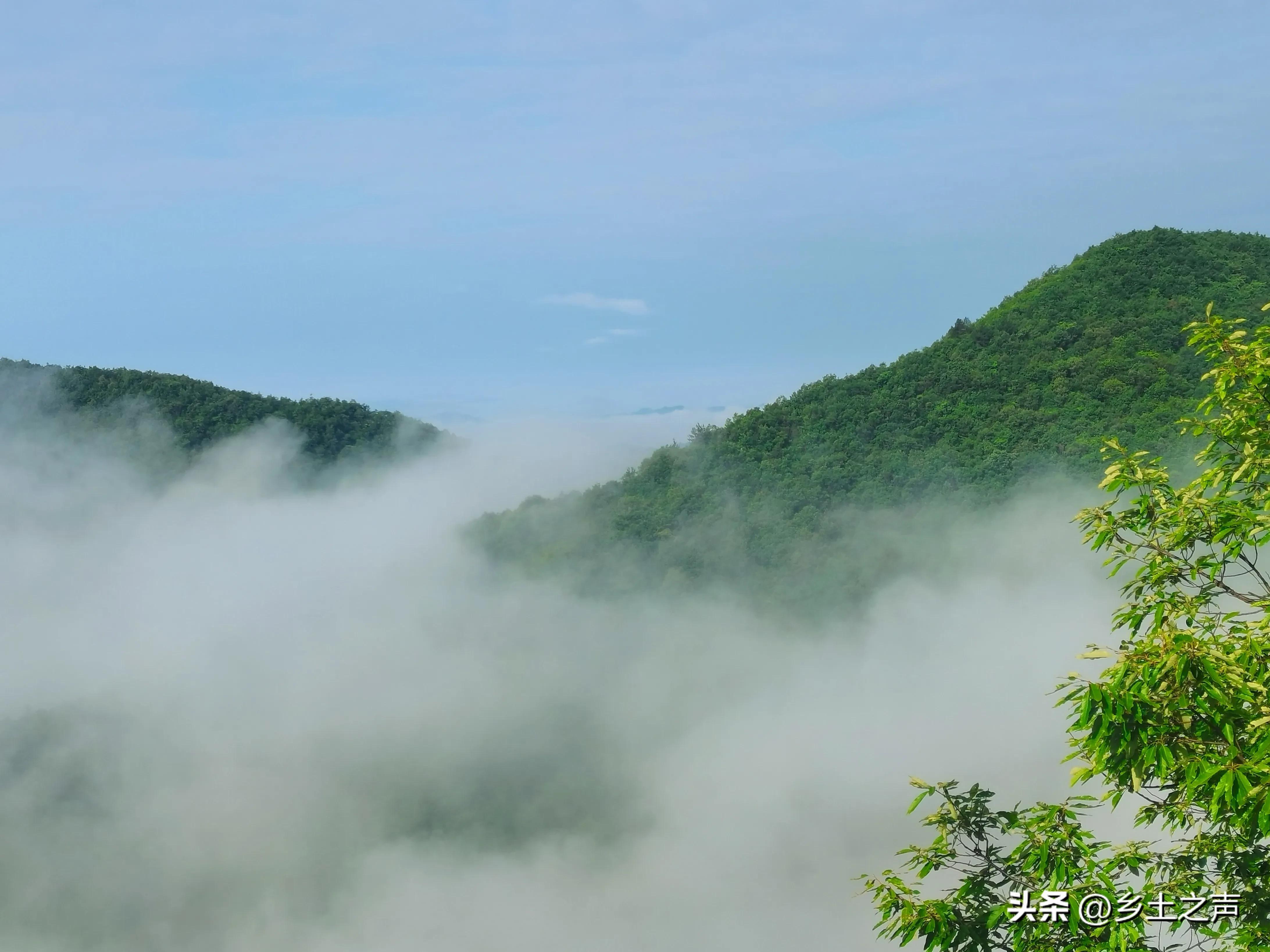 前景现状农业机发展中国有哪些_我国农机产业发展前景_中国有机农业发展现状和前景