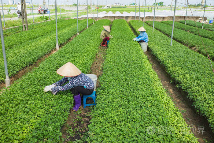 农业机行业有哪些岗位_有机农业行业_农机行业是什么意思