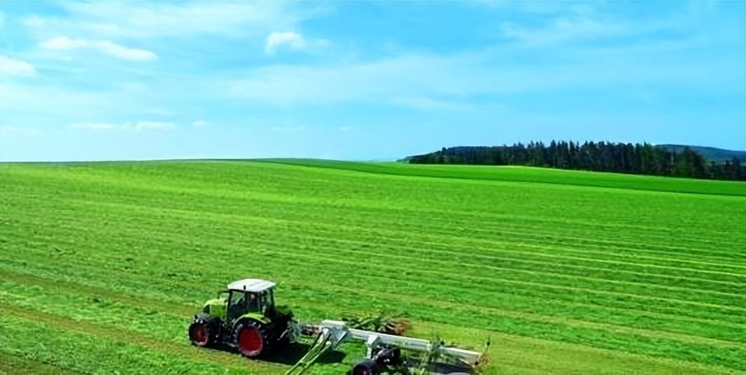 农业行业网站模板_有机农业行业_农业行业最赚钱是什么意思
