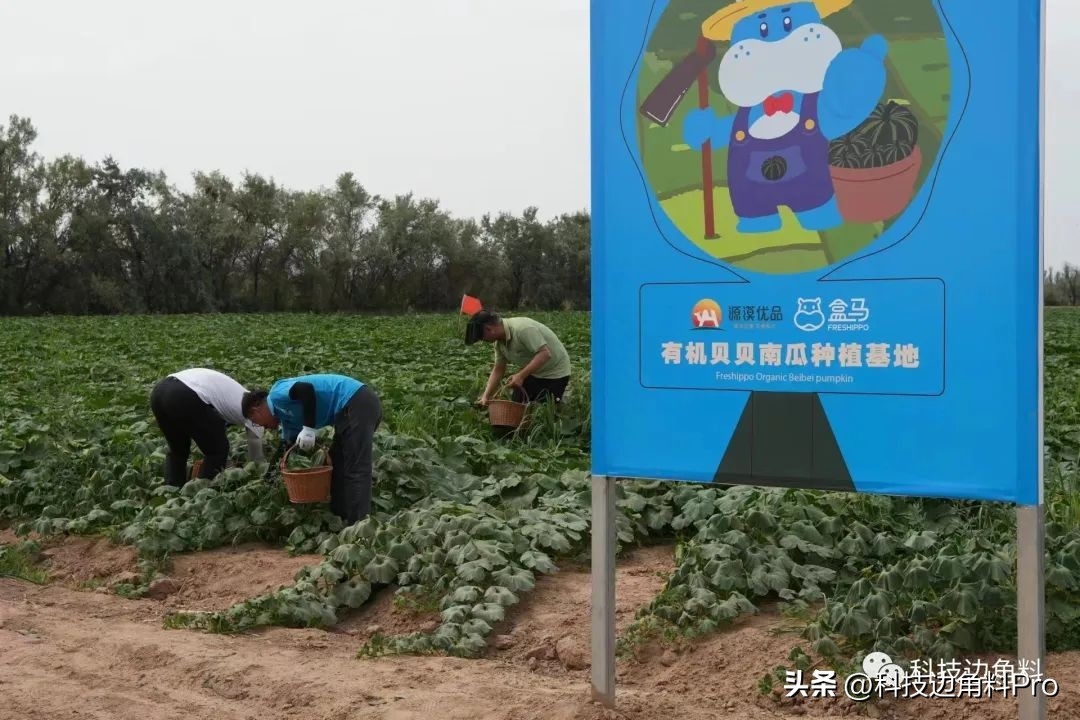 农业行业扶贫开发规划_有机农业行业_农业行业网站模板