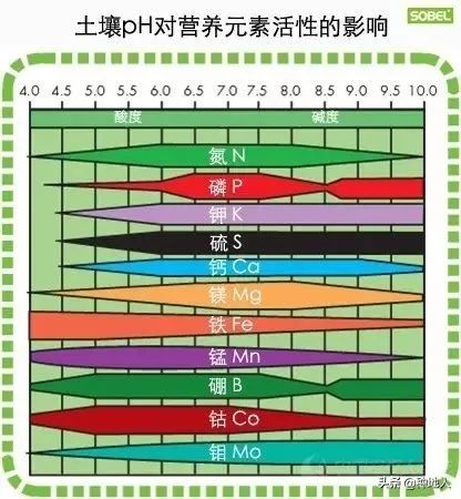 到底什么是有机肥_有机肥机器_有机肥机器多少一台