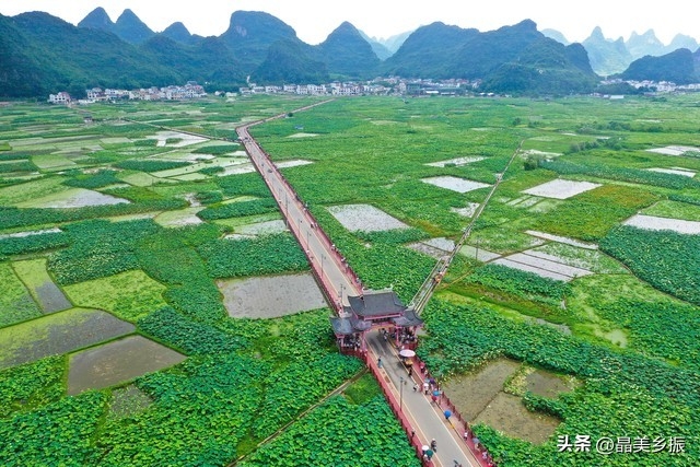 有機(jī)農(nóng)業(yè)未來5年前景_未來10年商鋪的前景_未來那些行業(yè)有前景