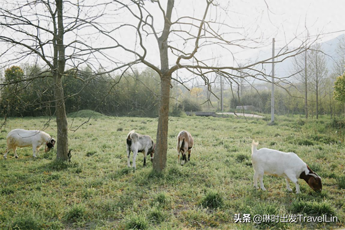 农场机器_农场机器设备_有机农场