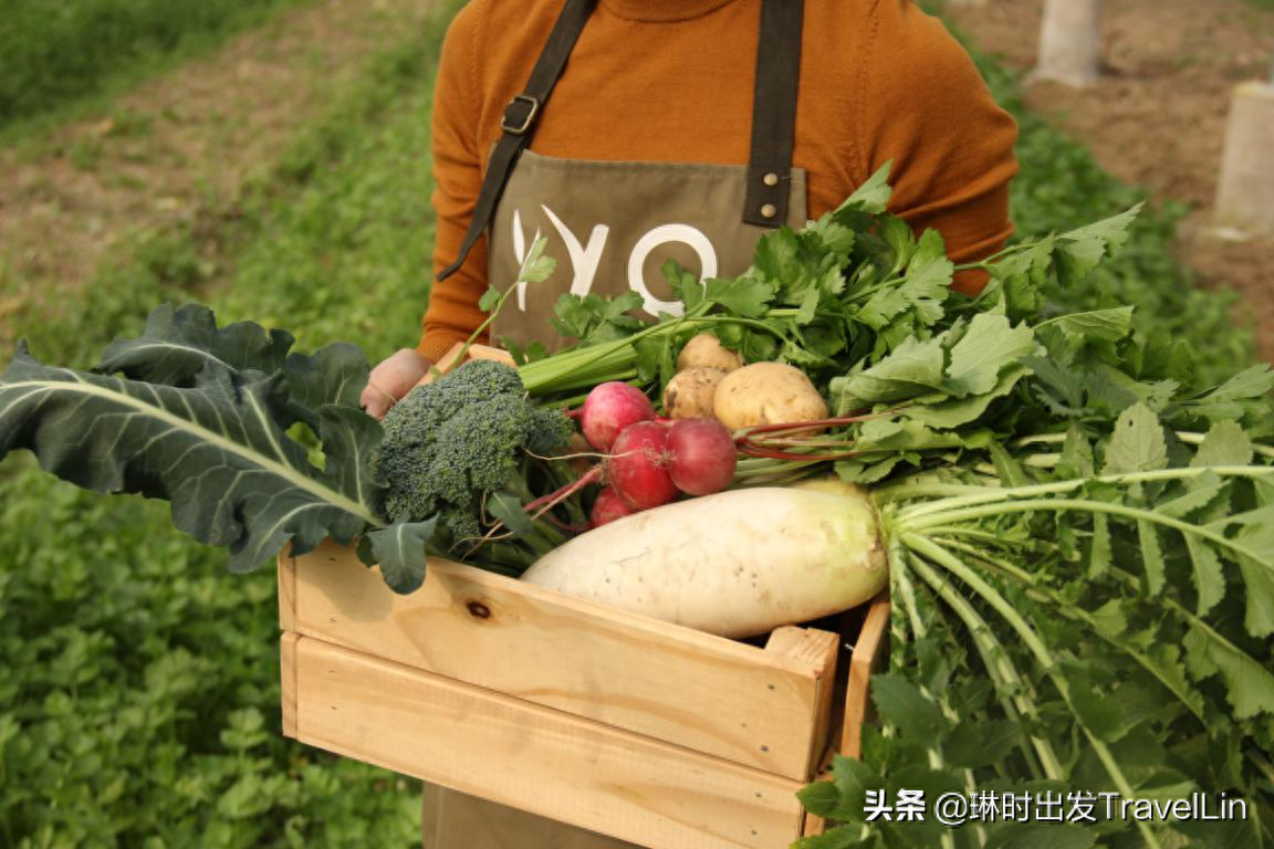 农场机器_有机农场_农场机器设备