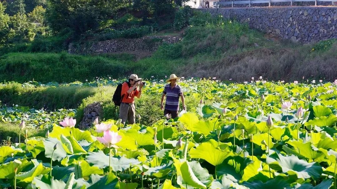 农场里面有什么机器_有机农场_农场机器设备