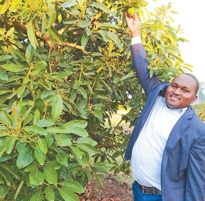 特色农业释放发展潜力在乌干达东部金贾市郊区