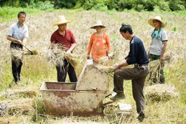 农场里面有什么机器_农场机器_有机农场