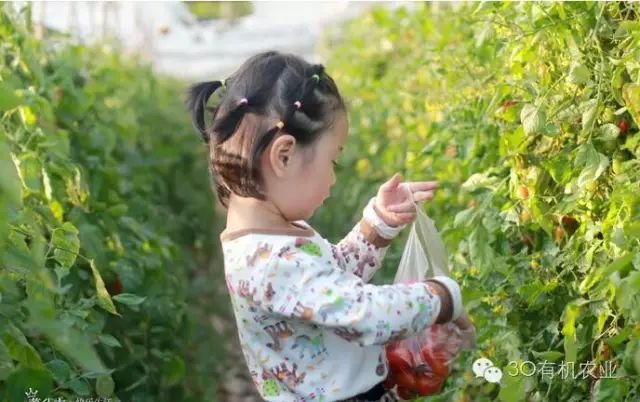 中国农业机器网_中国农业机器人_中国有机农业第一人