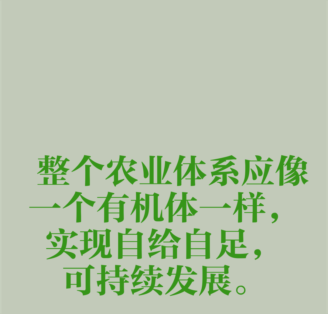 農(nóng)業(yè)概念_有機農(nóng)業(yè)概念_農(nóng)業(yè)概念股龍頭一覽