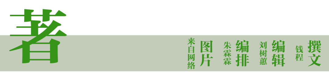 農(nóng)業(yè)概念股龍頭一覽_有機農(nóng)業(yè)概念_農(nóng)業(yè)概念