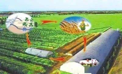 工业化农业与有机农业的文明时代