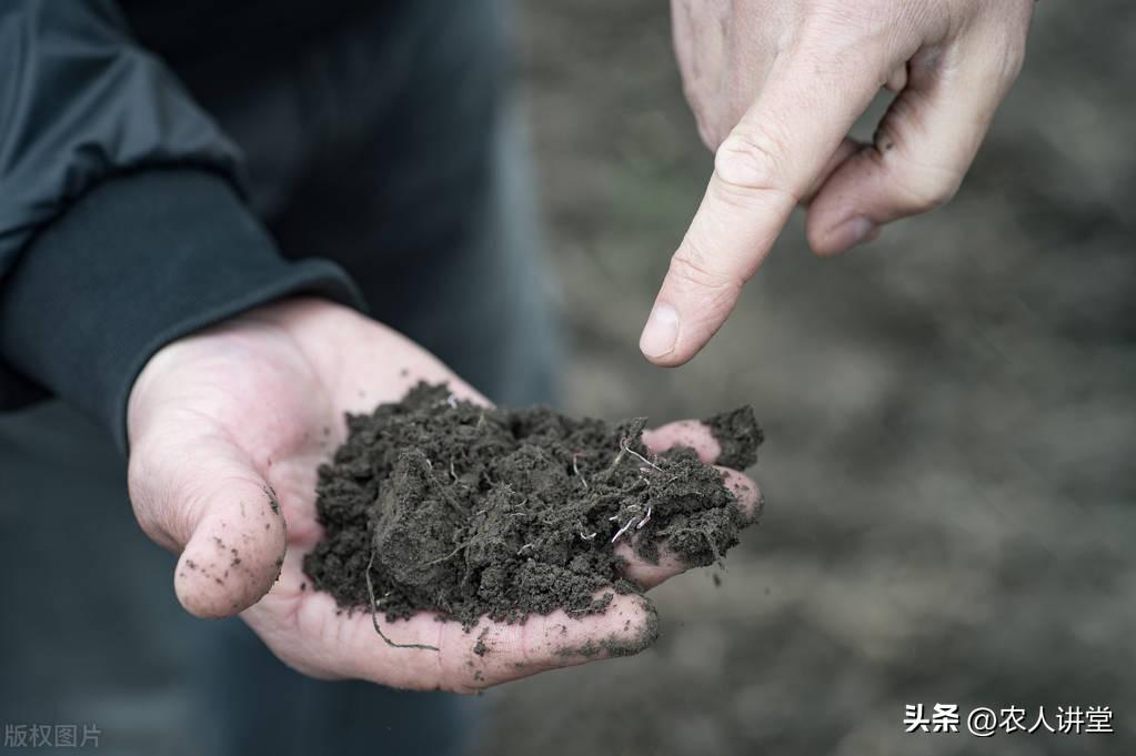 有機肥機器多少錢一臺_到底什么是有機肥_有機肥機器設備報價