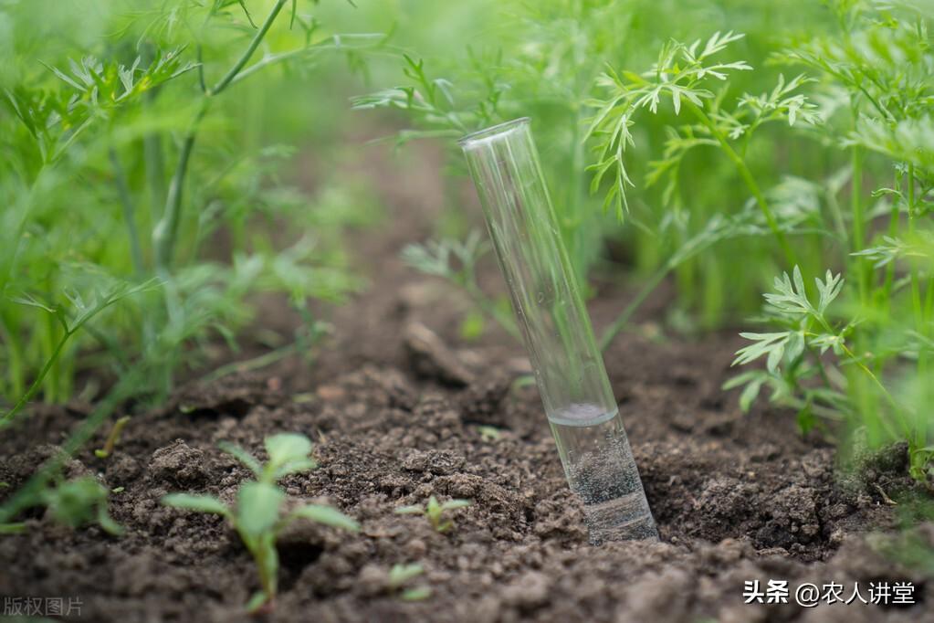 到底什么是有機肥_有機肥機器設備報價_有機肥機器多少錢一臺