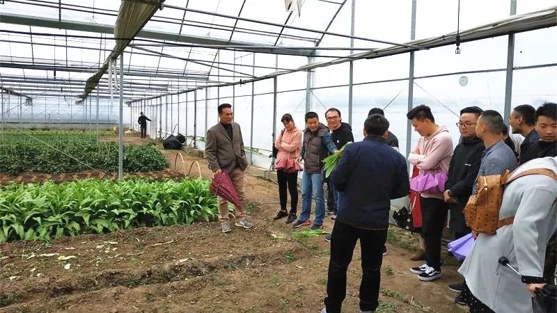 农业机地_棘角育苗.点抪种植点抪机_有机农业的痛点