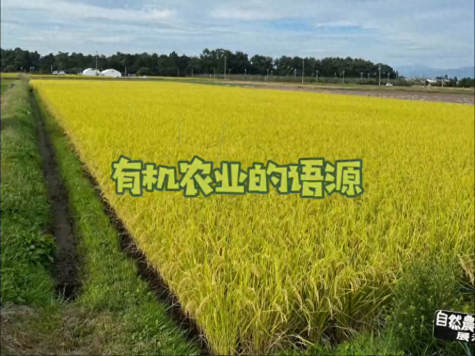 在日本，有机农业是如何发展起来的呢？
