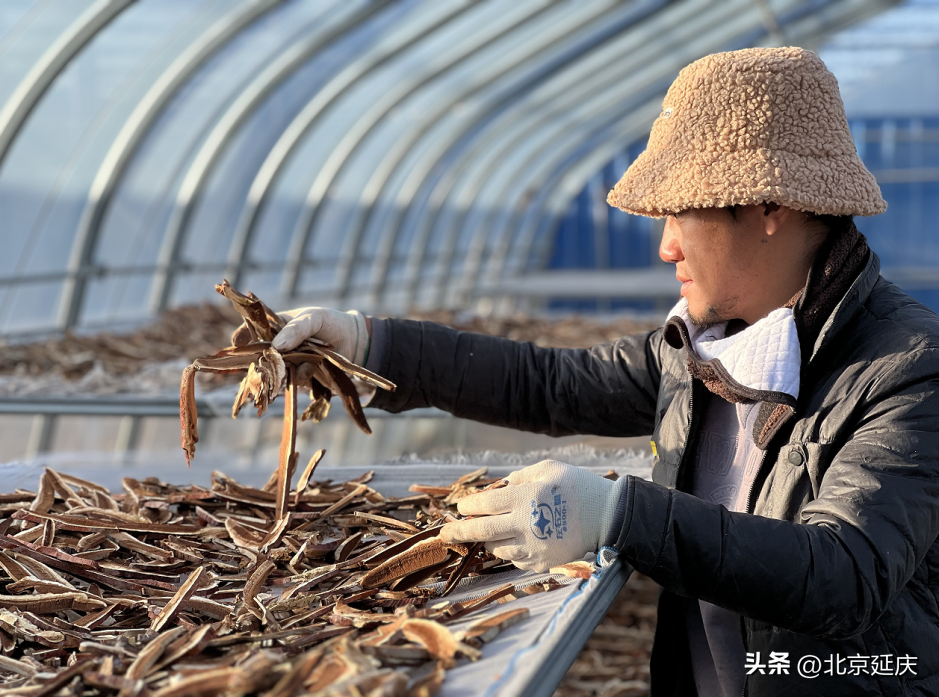 中国已有的农业机器人_中国农业农机_中国有机农业第一人