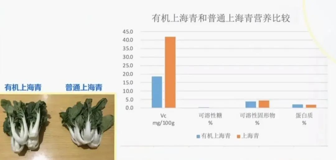 食品机械有哪些设备_有机食品指的是什么_食品机械是什么意思