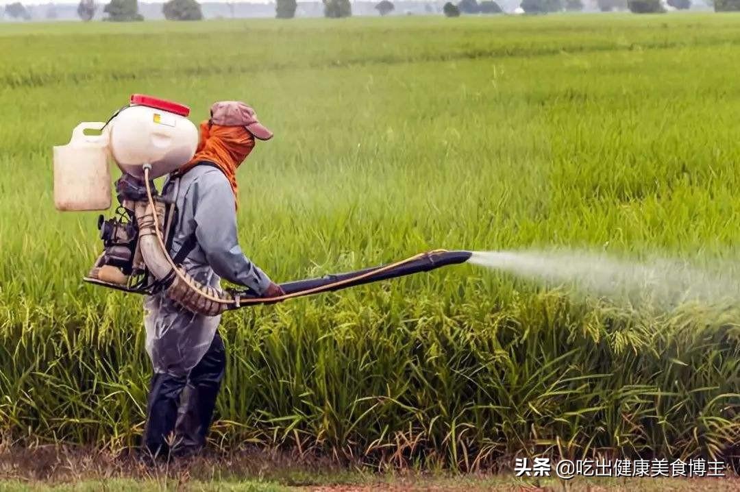 农业概念_有机农业概念_农业概念股龙头一览