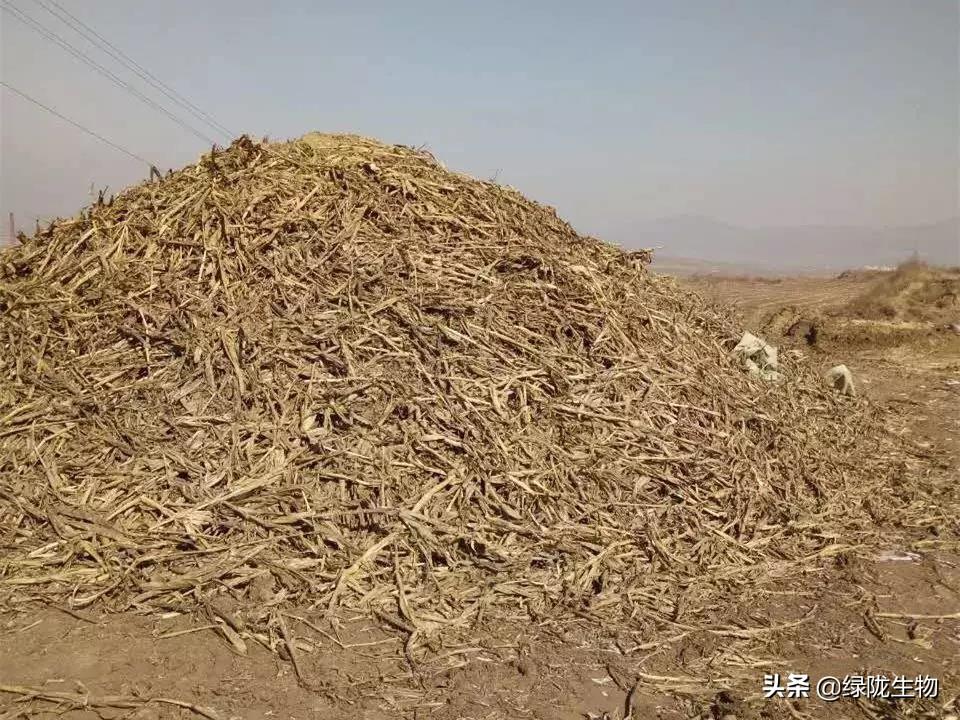 有机肥发酵技术_发酵肥机技术有哪些种类_发酵肥的使用方法