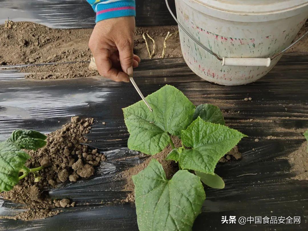 北京有机农业产业联盟_农业产业化联盟_中国农业产业联盟