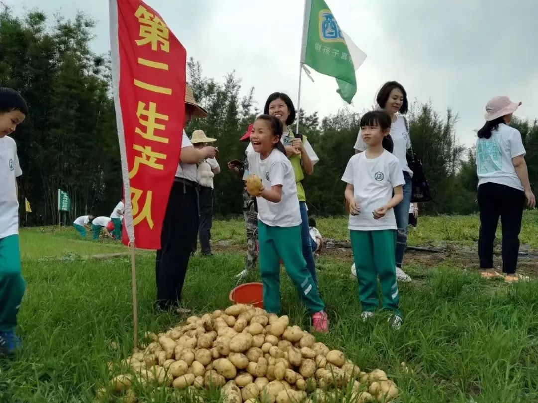 農場飛機_有機農場_農場機有320只鴨的只數(shù)是