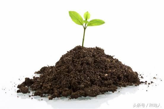 发酵肥的使用方法_肥料发酵机_有机肥发酵技术
