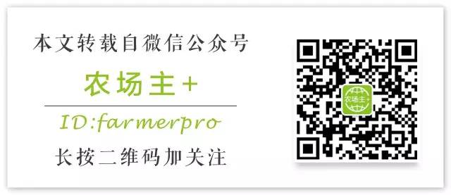 农业上市公司基本情况_有机农业上市公司_上市公司农业股票有哪些