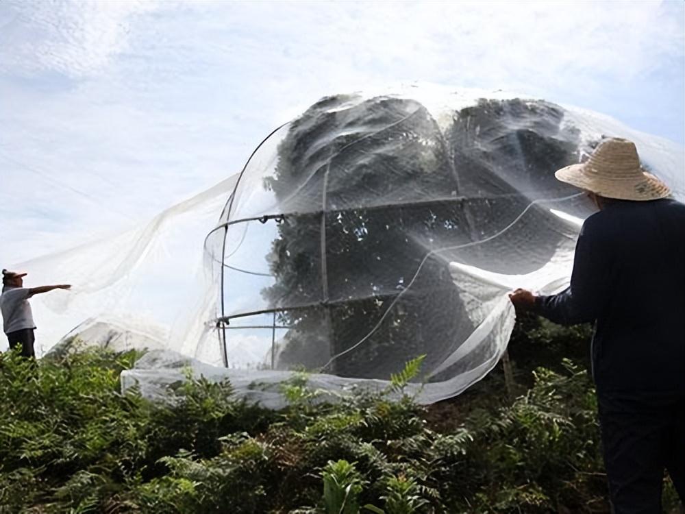 有机农业概念_农业概念龙头股有哪些_农业概念